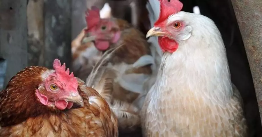 ?php echo $post['title']; ?>