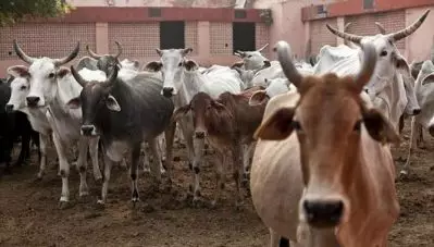 മധ്യപ്രദേശില്‍ പശുക്കടത്താരോപിച്ച് 25 പേരെ ആള്‍ക്കൂട്ടം മര്‍ദ്ദിച്ച് കയറില്‍ കെട്ടി പൊലീസ് സ്റ്റേഷനിലേയ്ക്ക് നടത്തിച്ചു
