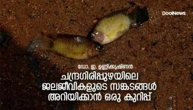 ചന്ദ്രഗിരിപ്പുഴയിലെ ജലജീവികളുടെ സങ്കടങ്ങള്‍ അറിയിക്കാന്‍ ഒരു കുറിപ്പ്