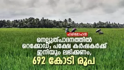 നെല്ലുത്പാദനത്തില്‍ റെക്കോഡ്; പക്ഷേ കര്‍ഷകര്‍ക്ക് ഇനിയും ലഭിക്കണം, 692 കോടി രൂപ