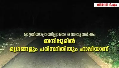 രാത്രിയാത്രയില്ലാതെ ഒമ്പതുവര്‍ഷം; ബന്ദിപ്പൂരില്‍ മൃഗങ്ങളും പരിസ്ഥിതിയും ഹാപ്പിയാണ്