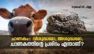 ചാണകം- വിശുദ്ധമോ, അശുദ്ധമോ, എന്താണ് ചാണകത്തിന്റെ പ്രശ്നം ?