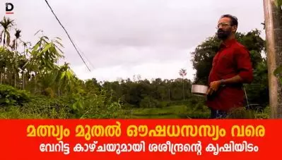 മത്സ്യം മുതല്‍ ഔഷധസസ്യം വരെ, വേറിട്ട കാഴ്ചയുമായി ശശീന്ദ്രന്റെ കൃഷിയിടം