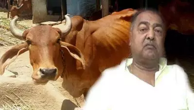 ‘മുസ്‌ലിങ്ങള്‍ പശുക്കളെ സ്വന്തമാക്കിവെച്ചിരിക്കുന്നത് ലൗ ജിഹാദ്’; പശുക്കളെ ഹിന്ദു ആചാരപ്രകാരം സംസ്‌കരിക്കണമെന്നും ബി.ജെ.പി നേതാവ്