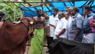 രണ്ട് ദിവസം കൂടി പട്ടിണിയായിരുന്നുവെങ്കില്‍ ഗോശാലയിലെ അഞ്ച് പശുക്കള്‍ ചത്തേനേ; വിദഗ്ദ സംഘം