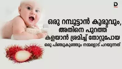 ഒരു റമ്പൂട്ടാന്‍ കുരുവും, അതിനെ പുറത്ത് കളയാന്‍ ശ്രമിച്ച് തോറ്റുപോയ ഒരു പിഞ്ചുകുഞ്ഞും നമ്മളോട് പറയുന്നത്