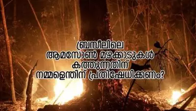 ബ്രസീലിലെ ആമസോണ്‍ മഴക്കാടുകള്‍ കത്തുന്നതിന് നമ്മളെന്തിന് പ്രതിഷേധിക്കണം?