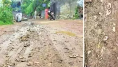 വഴി നിരപ്പാക്കാന്‍ മണ്ണ് നല്‍കിയത് കോണ്ടം നിര്‍മാണക്കമ്പനി; റോഡ് തകര്‍ന്നപ്പോള്‍ പുറത്തുവന്നത് ഉപയോഗിച്ച ഗര്‍ഭ നിരോധന ഉറകള്‍