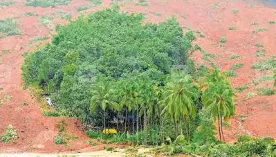 കവളപ്പാറയില്‍ ഉരുള്‍പൊട്ടലിന് നടുവില്‍ പോറല്‍പോലുമേല്‍ക്കാതെ ഒരു തുരുത്ത്; ദുരന്തം അതിജീവിച്ചത് എട്ട് വീടുകള്‍