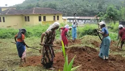 തൊഴിലുറപ്പില്‍ കേരളം ഒന്നാം സ്ഥാനത്ത്; കേന്ദ്രാവിഷ്‌കൃത പദ്ധതി നടത്തിപ്പിലും മികച്ച പ്രകടനം