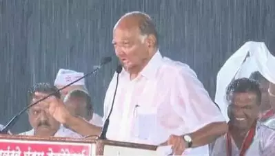 എന്ത് കൊണ്ട് ശരത് പവാര്‍ മാത്രം പ്രചരണത്തില്‍? കോണ്‍ഗ്രസ് നേതാക്കള്‍ ഇല്ലാതിരുന്നത്?; അതൊരു തന്ത്രമായിരുന്നുവെന്ന് കോണ്‍ഗ്രസ്