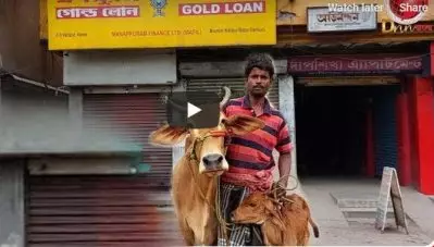 ബി.ജെ.പി നേതാവിന്റെ വാക്കുകള്‍ വെട്ടിലാക്കിയത് മണപ്പുറം ഫിനാന്‍സിനെ; സ്വര്‍ണ്ണമുള്ള പാല്‍ തരുന്ന പശുക്കളെ പണയമായി സ്വീകരിച്ച് ഗോള്‍ഡ് ലോണ്‍ തരണം എന്നാവശ്യപ്പെട്ട് ആളുകള്‍