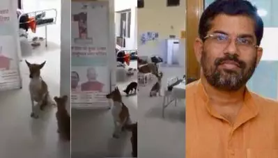 ‘കണ്ണൂര്‍ പറശ്ശിനിക്കടവ് മുത്തപ്പന്‍ കാവല്ല, യു.പിയിലെ ആശുപത്രിയാണ്’; യു.പി ആശുപത്രിയ്ക്കുള്ളില്‍ ‘റൗണ്ട്‌സിനിറങ്ങിയ’ നായകളുടെ വീഡിയോ പങ്കുവെച്ച് സന്ദീപാനന്ദ ഗിരി