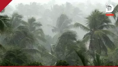 ഏഴ് ജില്ലകളിൽ കനത്ത മഴയ്ക്ക് സാധ്യത; അരുവിക്കര ഡാമിന്റെ ഷട്ടറുകൾ തുറന്നു