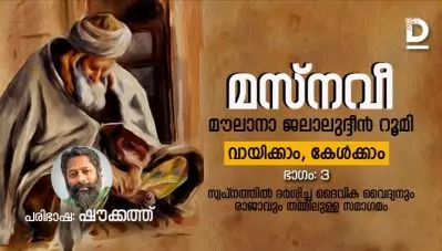 മസ്‌നവീ, ഭാഗം: 3, സ്വപ്‌നത്തില്‍ ദര്‍ശിച്ച ദൈവിക വൈദ്യനും രാജാവും തമ്മിലുള്ള സമാഗമം