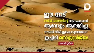 ഈ നാട് ഗള്‍ഫ് പണത്തിന്റെ ഗുണഫലങ്ങള്‍ ആവോളം ആസ്വദിച്ചു; നമ്മള്‍ തിരിച്ചുകൊടുത്തതോ? ഇച്ചിരി നൊസ്റ്റാള്‍ജിയ