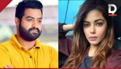 ജൂനിയര്‍ എന്‍.ടി.ആറിന്റെ ആരാധികയല്ലെന്ന് ബോളിവുഡ് താരം മീര ചോപ്രോ; ബലാത്സംഗ ഭീഷണിയുമായി ജൂനിയര്‍ എന്‍.ടി.ആര്‍ ആരാധകര്‍