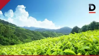 ഹാരിസണ്‍ മലയാളത്തിന്റെ കൈവശമുള്ള ഭൂമി തിരിച്ചു പിടിക്കാനൊരുങ്ങി സര്‍ക്കാര്‍