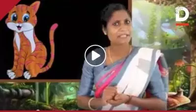 തങ്കുപൂച്ചയുടെയും മിട്ടുപൂച്ചയുടെയും കഥ ഗോത്രഭാഷയില്‍ പഠിപ്പിക്കുന്ന മഞ്ജു ടീച്ചര്‍, വീഡിയോ വൈറലാവുന്നു