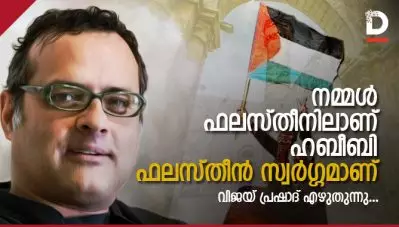 നമ്മള്‍ ഫലസ്തീനിലാണ്, ഹബീബി, ഫലസ്തീന്‍ സ്വര്‍ഗ്ഗമാണ്