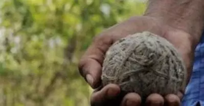 കണ്ണൂരില്‍ സംഘര്‍ഷാവസ്ഥ; തില്ലങ്കേരിയില്‍ എസ്.ഡി.പി.ഐ പ്രകടനത്തിനു നേരെ ബോംബേറ്