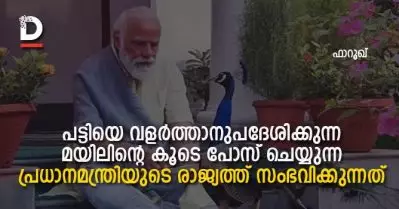 പട്ടിയെ വളര്‍ത്താനുപദേശിക്കുന്ന, മയിലിന്റെ കൂടെ പോസ് ചെയ്യുന്ന പ്രധാനമന്ത്രിയുടെ രാജ്യത്ത് സംഭവിക്കുന്നത്