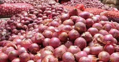 ഉള്ളി വില നിയന്ത്രിക്കാന്‍ കേന്ദ്രം; ഇറക്കുമതി നിയന്ത്രണങ്ങള്‍ക്ക് താത്ക്കാലിക ഇളവ്