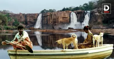 അതിരപ്പിള്ളിയ്ക്ക് പിന്നാലെ ആനക്കയവും; തകര്‍ക്കപ്പെടുന്നത് വനവും ആദിവാസികളുടെ വനാവകാശവും