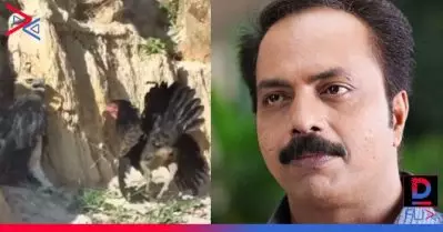 ഇതാണെടാ അമ്മ… കോഴിയെ ഇറക്കി പരിഹാസവുമായി ഷമ്മി തിലകന്‍