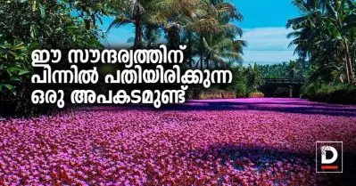 ഈ സൗന്ദര്യത്തിന് പിന്നില്‍ പതിയിരിക്കുന്ന ഒരു അപകടമുണ്ട്