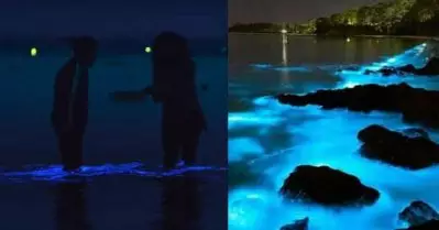 കുമ്പളങ്ങി നൈറ്റ്‌സിലെ ആ വയലറ്റ് വെളിച്ചം കാപ്പാട് ബീച്ചിലും: ‘കവരി’ന്റെ ഭംഗിയില്‍ കാപ്പാട്