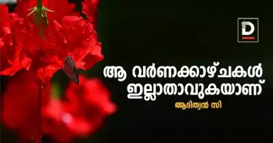 ആ വര്‍ണക്കാഴ്ചകള്‍ ഇല്ലാതാവുകയാണ് | ആദിത്യന്‍ സി