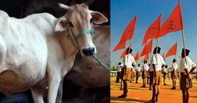 ‘ആര്‍.എസ്.എസ് എന്തു പറഞ്ഞാലും തൊണ്ടതൊടാതെ വിഴുങ്ങും’; ഗോവധ നിരോധന നിയമത്തില്‍ കര്‍ണാടക സര്‍ക്കാരിനെതിരെ സിദ്ധരാമയ്യ