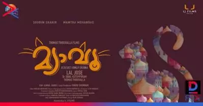 പുതുവര്‍ഷത്തില്‍ ഈ പൂച്ചയെ വെള്ളിത്തിരയില്‍ കാണാം; പുതിയ ചിത്രത്തിന്റെ പേര് പങ്കുവെച്ച് ലാല്‍ ജോസ്