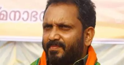 ‘പിണറായി കൊലപാതക കേസിലെ പ്രതി’; ക്രിമിനല്‍ പശ്ചാത്തലം ഉള്ള പ്രതിയാണ് അമിത് ഷായ്ക്ക് എതിരെ ആരോപണം ഉന്നയിക്കുന്നതെന്ന് കെ. സുരേന്ദ്രന്‍