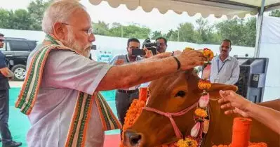 പശുശാസ്ത്രത്തില്‍ പരീക്ഷ നടത്താനൊരുങ്ങി കേന്ദ്രസര്‍ക്കാര്‍