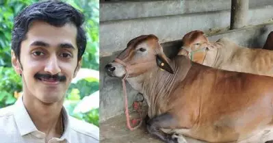 പരിചയമില്ലാത്തവര്‍ വന്നാല്‍ ഇന്ത്യന്‍ പശു എഴുന്നേല്‍ക്കും, ജേഴ്‌സിപ്പശുവിന് വികാരങ്ങളില്ല; പശു ശാസ്ത്ര പരീക്ഷക്ക് രജിസ്റ്റര്‍ ചെയ്തപ്പോള്‍ ലഭിച്ച സിലബസിനെ പരിഹസിച്ച് യുവ ഡോക്ടര്‍