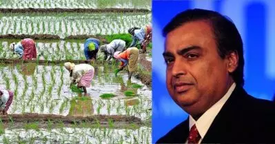 താങ്ങുവിലയേക്കാള്‍ കൂടുതല്‍ തുക കര്‍ഷകര്‍ക്ക് നല്‍കി റിലയന്‍സ്; കോര്‍പ്പറേറ്റ് തന്ത്രമെന്ന് കര്‍ഷകര്‍