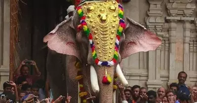 വലതുകണ്ണിനു പൂര്‍ണമായും ഇടതുകണ്ണിന് ഭാഗികമായും കാഴ്ച ശക്തിയില്ലാത്ത തെച്ചിക്കോട്ടുകാവ് രാമചന്ദ്രനെ ഉത്സവങ്ങളില്‍ എഴുന്നള്ളിക്കാന്‍ അനുമതി