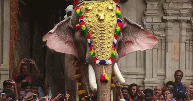 ഉപാധികള്‍ ലംഘിച്ചു; തെച്ചിക്കോട്ടുകാവ് രാമചന്ദ്രന് വീണ്ടും വിലക്ക്