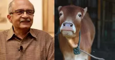 വൗ! ഗോമൂത്ര സര്‍ക്കാറിന്റെ ചാണക ശാസ്ത്രത്തെക്കുറിച്ചുള്ള പരീക്ഷ! പശുശാസ്ത്ര പരീക്ഷ നടത്തണമെന്ന യു.ജി.സി നിര്‍ദ്ദേശത്തെ പരിഹസിച്ച് പ്രശാന്ത് ഭൂഷണ്‍