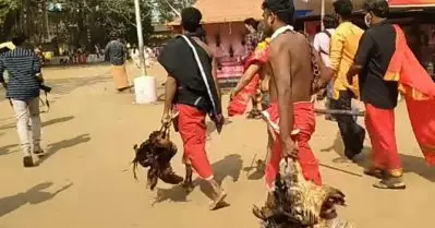 ‘കേരളത്തില്‍ മൃഗബലി തിരികെ കൊണ്ടുവരാനുള്ള സംഘടിത ശ്രമം’; കൊടുങ്ങല്ലൂര്‍ ക്ഷേത്രത്തില്‍ കോഴിയെ വെട്ടിയതിനെതിരെ ശാസ്ത്ര സാഹിത്യ പരിഷത്ത്