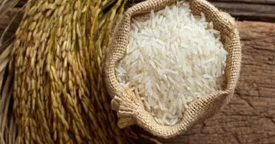 പ്രത്യേക അരി നല്‍കാനുള്ള സര്‍ക്കാര്‍ തീരുമാനം തടഞ്ഞ് തെരഞ്ഞെടുപ്പ് കമ്മീഷന്‍