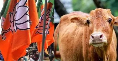 പശുവിന് ബുദ്ധിമുട്ടുണ്ടാക്കുന്ന ക്രഷറിന്റെ പ്രവര്‍ത്തനം നിര്‍ത്തണം; കേരളത്തില്‍ പഞ്ചായത്ത് ജീവനക്കാരെ പൂട്ടിയിട്ട് ബി.ജെ.പി സമരം