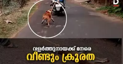 നായയോട് വീണ്ടും ക്രൂരത,സ്‌കൂട്ടറില്‍ കിലോമീറ്ററുകളോളം കെട്ടിവലിച്ച് ഉടമസ്ഥന്‍