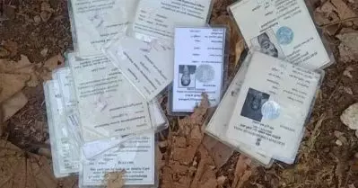 ഒറ്റപ്പാലത്ത് തിരിച്ചറിയല്‍ കാര്‍ഡുകള്‍ ഉപേക്ഷിക്കപ്പെട്ട നിലയില്‍ കണ്ടെത്തി