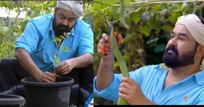 കൈലിയുടുത്ത് തലയില്‍ക്കെട്ടുമായി കൃഷിത്തോട്ടത്തില്‍ മോഹന്‍ലാല്‍; ജൈവക്കൃഷി നടത്താന്‍ ആഹ്വാനവുമായി താരം