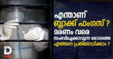 എന്താണ് ബ്ലാക്ക് ഫംഗസ് രോഗം, എന്താണ് പ്രതിരോധ മാര്‍ഗങ്ങള്‍
