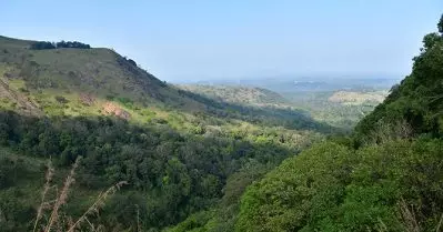 വയനാട്ടിൽ വീണ്ടും ആശങ്ക; ഭൂമിക്കടിയിൽ നിന്ന് മുഴക്കവും പ്രകമ്പനവും