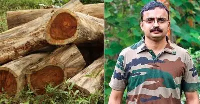 മുട്ടില്‍ മരംമുറിക്കേസ്; ഡി.എഫ്.ഒ. ധനേഷ് കുമാര്‍ വീണ്ടും അന്വേഷണ സംഘത്തില്‍; തിരിച്ചെത്തിയത് കൂടുതല്‍ ചുമതലകളോടെ
